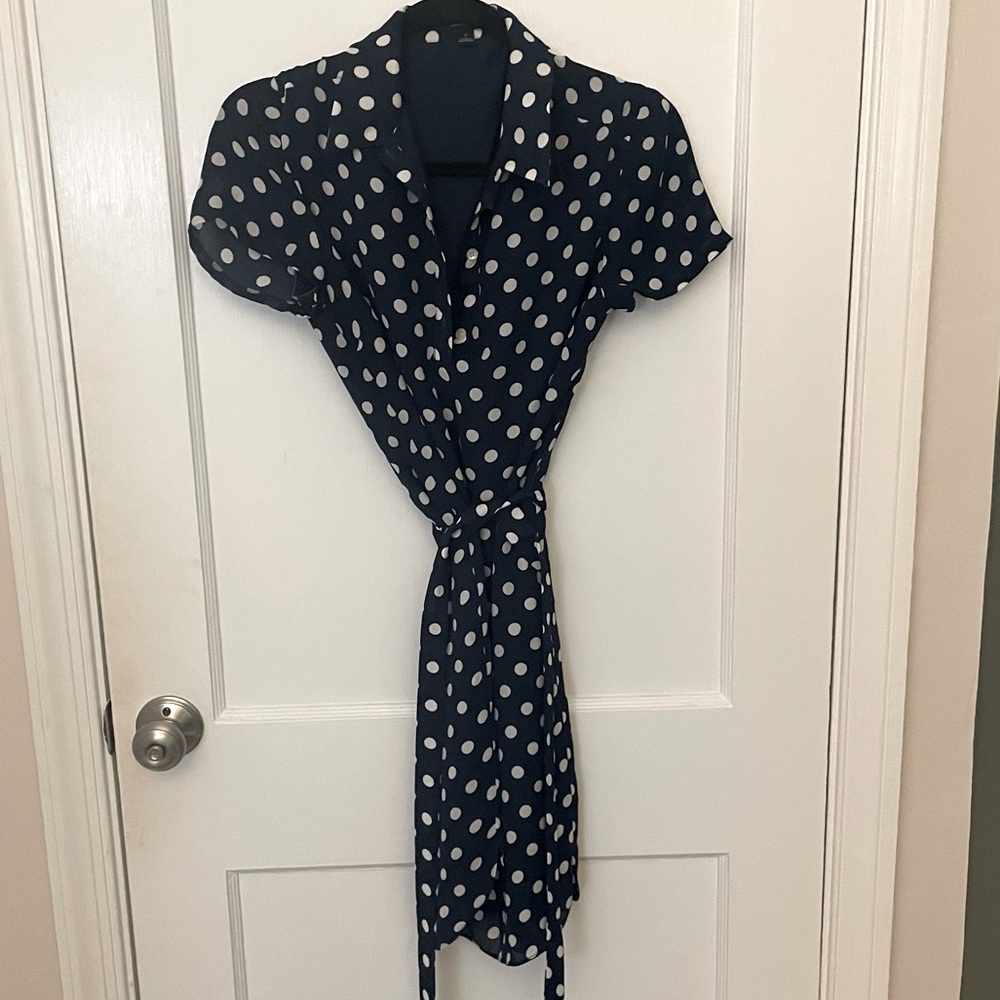 Ann Taylor Polka Dot Dress